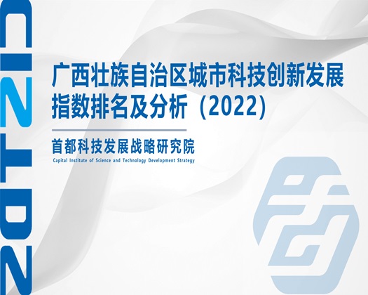 舒服快点让我操视频【成果发布】广西壮族自治区城市科技创新发展指数排名及分析（2022）